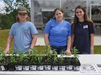Students from Fannin County Middle School, from left, Keagan Massey, Lauren Waters, and Mackenzie Duvall passed out Milkweed plants to all who showed up for the Fannin County Chamber of Commerce & CVB event. The free milkweed day was part of the Chamber’s Lights Off, Fireflies On project to protect the natural beauty of summer evenings in Fannin County when fireflies light up the night sky. Milkweed protects fireflies from predators.