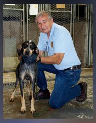 This female Hound was picked up on Old Highway 76 in Morganton September 14. She has a black and brown coat. View this cutie using intake number 323-21. She is shown with animal control Interim Manager J.R. Cornett.