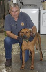 This male Hound was dropped off at animal control October 14. He has a short, brown coat and is very well behaved. View this cutie using intake number 351-21. He is shown with animal control Interim Manager J.R. Cornett.