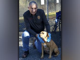This female, Beagle mix was picked up on Hells Hollow Road in McCaysville December 1. This gal is expecting a litter. She has a tan coat. View this sweetie using intake number 411-21. She is shown with animal control Interim Manager J.R. Cornett.