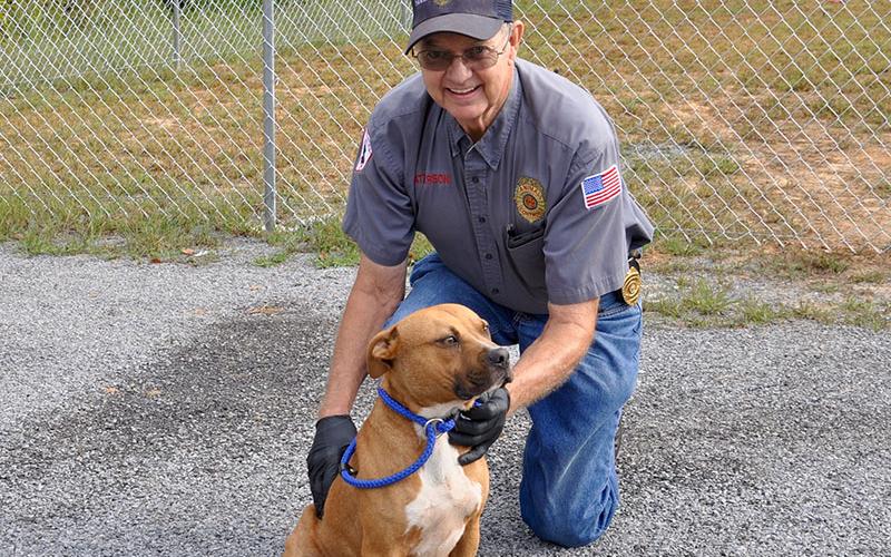 Animal Control officer Pat Patterson smiles while showing off this male Boxer mix who was dropped off September 17. He will remain at Animal Control until reclaimed or adopted. This handsome boy has a light brown coat with a white chest and paws. View him under Animal Control number 275-19.