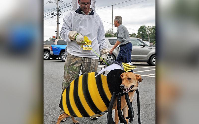 Pet owner and beekeeper, Cooper Clark, walks Rocko the bee through downtown Blue Ridge during Paws in the Park Saturday, October 19.