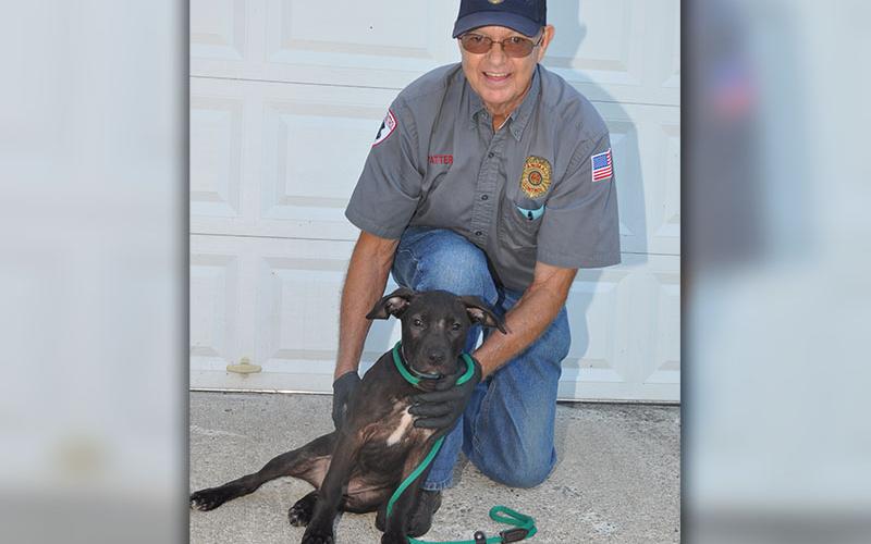 Animal Control Officer Pat Patterson kneels next to this cute, black female puppy thought to be a lab/bull mix. She was picked up October 2 on Weaver Street in McCaysville. She is sweet and playful and needs a family to love her and provide for her. Could that be you? View this cutie pie pup under Animal Control number 299-19.