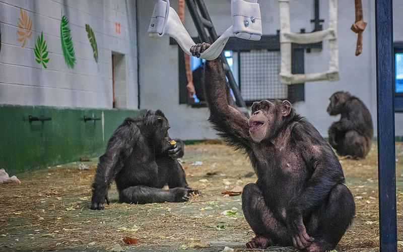 Noel, Ronald and Kareem enjoy lunch as they explore their new home, “The Chateau.”