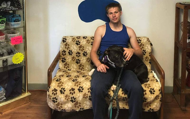 Lacey, a pound puppy who spent eight months at Fannin County Animal Control, finally found a home as a service dog in training for a young man in Jacksonville, Illinois.