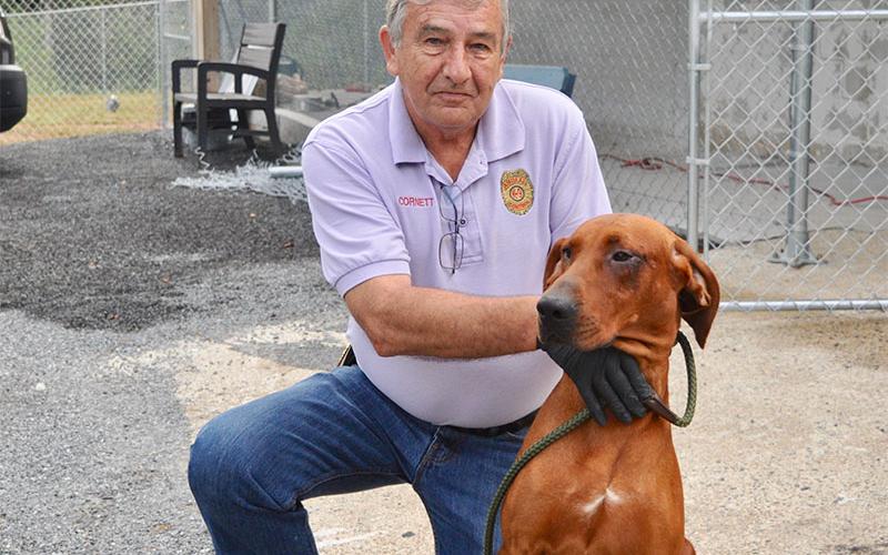 Animal Control Officer J.R. Cornett poses with a male Red Bone Hound who was found on Weaver Creek September 7. He is staying at Fannin County Animal Control until reclaimed or adopted. This sweet boy has a beautiful red coat with black patches around his eyes. View this handsome guy under Animal Control number 270-19.