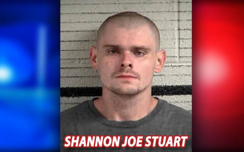 Shannon Joe Stuart