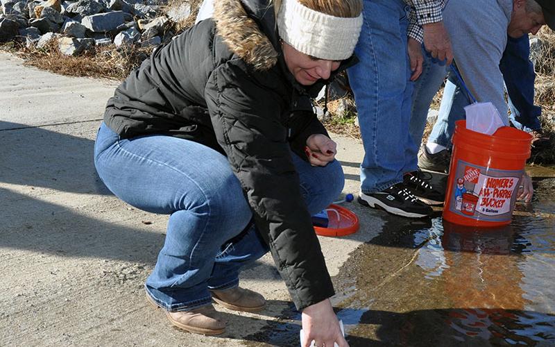 Fannin County Middle School teacher Cherie White points to the tiny trout she just poured into the Toccoa river. Her students learned all about raising trout and their life-cycle throught a partnership with Trout Unlimited.
