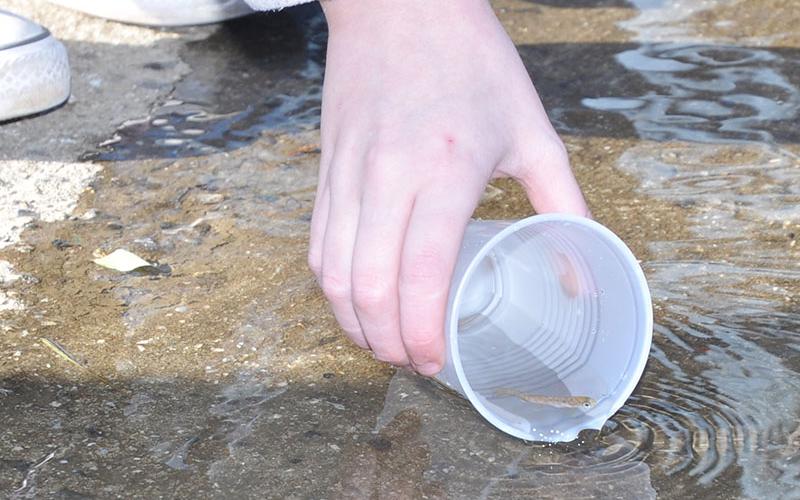 A tiny trout fingerling, or baby trout, is about to begin its new adventure of living in the Toccoa River.