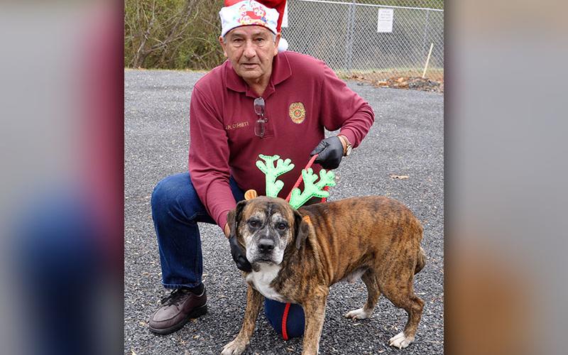 Fannin County Animal Control Officer J.R. Cornett kneels with this male Boxer mix who volunteers have named Mississippi. He was picked up on Dillon Ridge Road in Morganton, December 4, and will be staying at Animal Control until reclaimed or adopted. Mississippi has a brindle coat. View this sweet guy under Animal Control number 359-19.