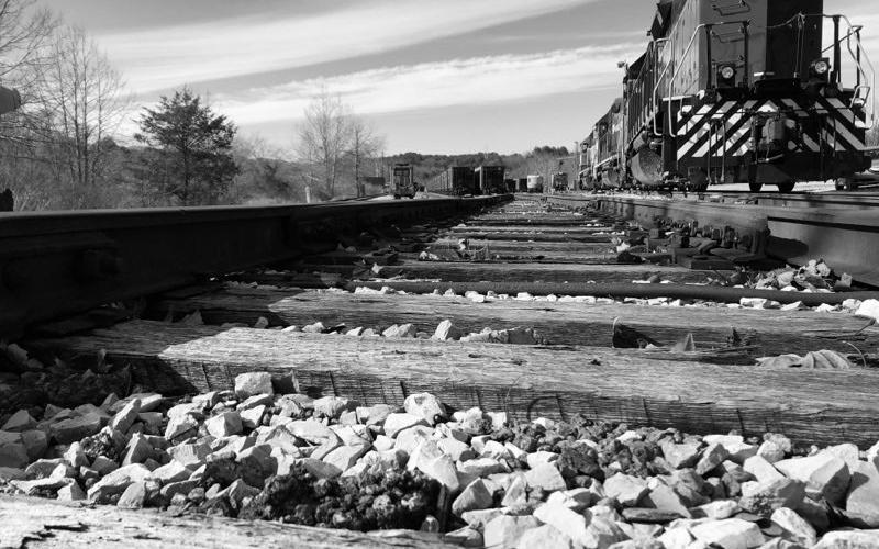 Danica Padrutt, sixth grader at Fannin County Middle School, took this photo of the railroad tracks and train this past January.