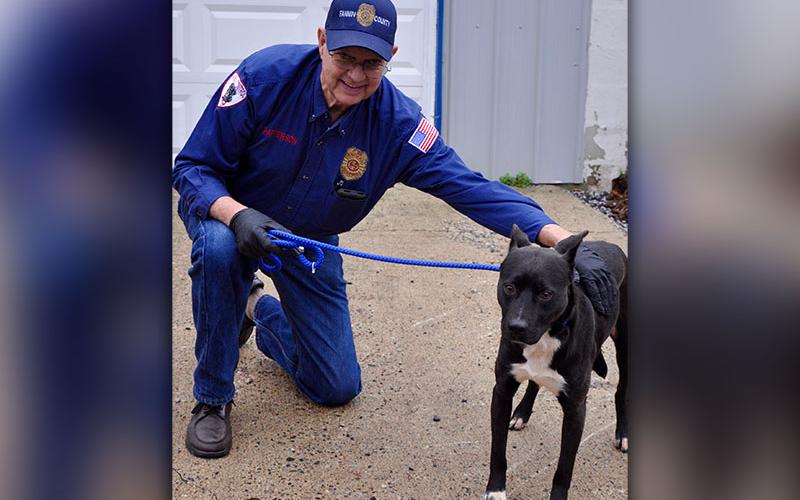 Animal Control Officer Pat Patterson kneels with Murphy, a male mix, who was picked up on Josh Hall Road in Blue Ridge, October 9. He will be staying at Animal Control until reclaimed or adopted. Murphy has a short black and white coat and is the perfect gentleman. View him under Animal Control number 308-19.