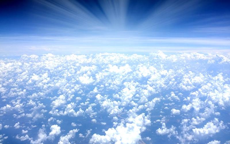 Alice Mull