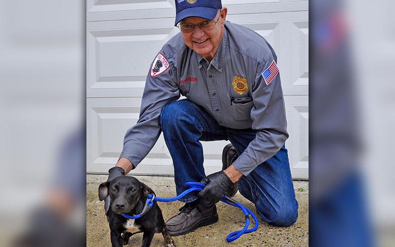 Fannin County Animal Control Officer Pat Patterson kneels with this female Feist mix. She was picked up on Madola Road in Epworth Tuesday, January 28, and will be staying at Animal Control until adopted or reclaimed. This sweetheart has a glistening, short black coat with patches of white on her paws and chest. View her under Animal Control number 037-2020.