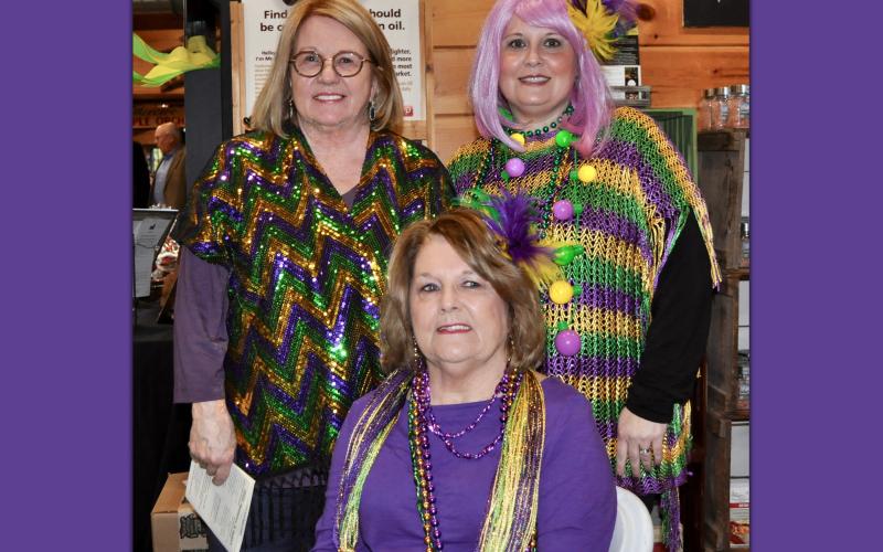 Purple, green and gold outfits were prominately displayed during Snack in a Backpack’s Mardi Gras themed fundraiser, Bringin’ the Blues to Blue Ridge, Saturday, February 22. Shown are, from left, Jeanie Morris, Margie Smith and Stephanie Danuser.
