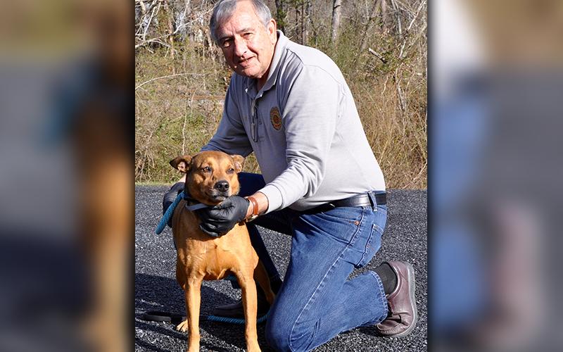 Fannin County Animal Control Officer J.R. Cornett holds this female Feist mix who was picked up on Panter Street in McCaysville Wednesday, March 4. This girl will be staying at Animal Control until reclaimed or adopted. She has a light brown coat with sweet tea eyes. View her under Animal Control number 095-20.