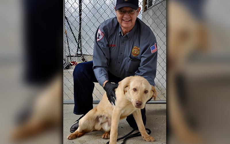 Fannin County Animal Control Officer Pat Patterson holds this male Golden Retriever mix that was picked up on Galloway Road in Blue Ridge March 11. He will be staying at Animal Control until reclaimed or adopted. He has a golden coat with eyes to match. View this sweet fella under Animal Control number 098-20.