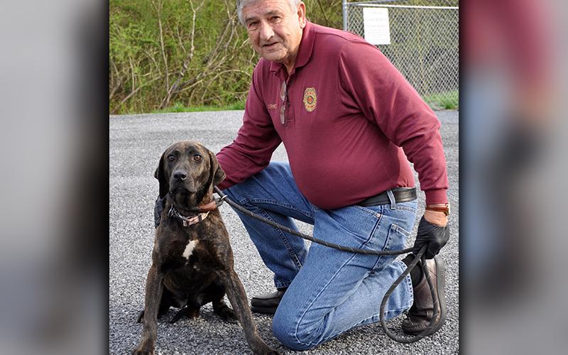 Fannin County Animal Control Officer J.R. Cornett kneels with this female Plott Hound found in the My Mountain subdivision in Morganton March 25. This girl will be staying at Animal Control until reclaimed or adopted. She has a black brindle coat with amber colored eyes. View her under Animal Control number 111-20.