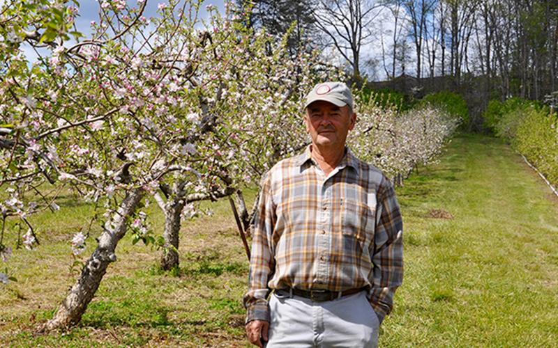 Joe Dickey, founder of Mountain View Orchards, stands amongst the hundreds of apple trees in his grove.
