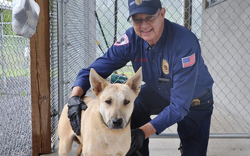This female German Shepherd mix was an owner surrender, brought in April 22. She will reside at Fannin County Animal Control until adopted. This girl has a short, sandy white coat with chocolaty colored eyes. She is being held by Animal Control Officer Pat Patterson and can be viewed using intake number 131-20.
