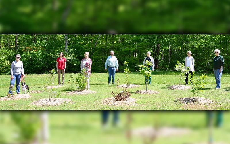 Mineral Springs Park in Blue Ridge has been accredited with a Gold Level Certification by the Georgia Native Plant Society and the University of Georgia’s State Botanical Garden of Georgia thanks to the help of the North Georgia Master Gardeners Extension Volunteers (NGMGEV). Shown are, from left, Mel Rothschild, a citizen who uses the park regularly, Fannin County Extension Agent Ashley Hoppers, NGMGEV Project Chair Alyce Wirtz, NGMGEV Chase Broward, NGMGEV Charlotte Dickinson, NGMGEV President Fran Stoeck