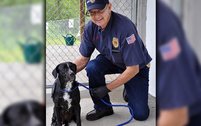 his female mix named Alexa is an owner surrender and will remain at Animal Control until adopted. She is a small-sized pooch and boasts a shiny, black coat. This gal is super sweet. View her under intake number 157-20. She is being held by Animal Control Officer Pat Patterson.