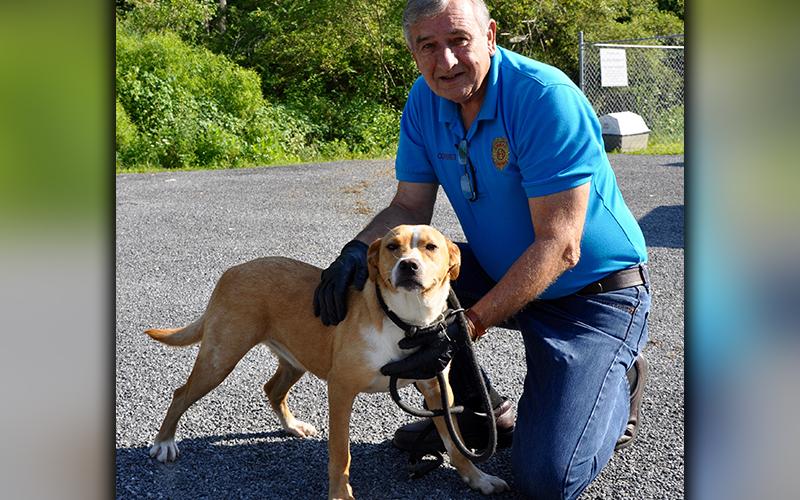 This female mix was found on Murphy Lane in Mineral Bluff July 13 and will stay at Animal Control until reclaimed or adopted. She has a soft blonde and white coat, and she is very well behaved. View her using Animal Control number 200-20. She is shown with Animal Control officer J.R. Cornett.