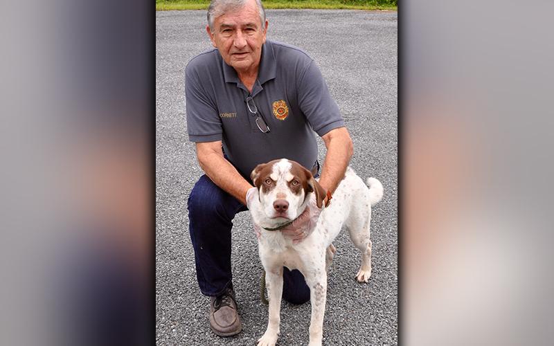 This male bird dog was found in Epworth August 5 and will remain at Animal Control until reclaimed or adopted. He has a white coat with light brown speckles. He is a good boy. View him using intake number 222-20. He is shown with Animal Control officer J.R. Cornett.