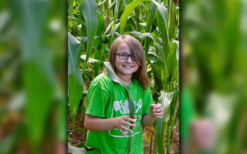 Jalyn Hunt makes her way through corn and green beans she helped harvest at Copper Basin Elementary School.