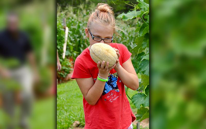 Madison Hester sniffs a cantaloupe making sure it was “fruity” enough for pickin’.