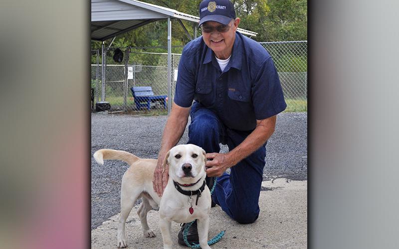 This male Bassett Hound mix was picked up on Highway 2 in Epworth September 16. He has a sandy, white coat and cocoa bean colored eyes. View him using intake number 260-20. He is shown with Animal Control officer Pat Patterson.