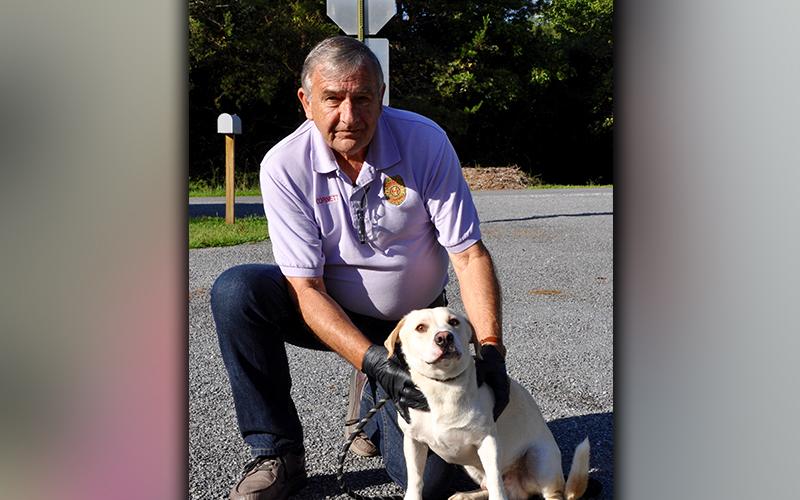 This male Beagle/Bassett Hound mix was picked up in Epworth August 27. He’s a sweetie and has a short, blonde and white coat. He is definitely a lover. View him using intake number 243-20. He is shown with Animal Control officer J.R. Cornett.