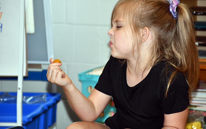 At first glance, West Fannin Elementary School student Jaycee Hunt wasn’t a  big fan of the heirloom tomatoes her class was given thanks to the United States Department of Agriculture’s Fresh Fruit and Vegetable Program, but she tried them nonetheless.