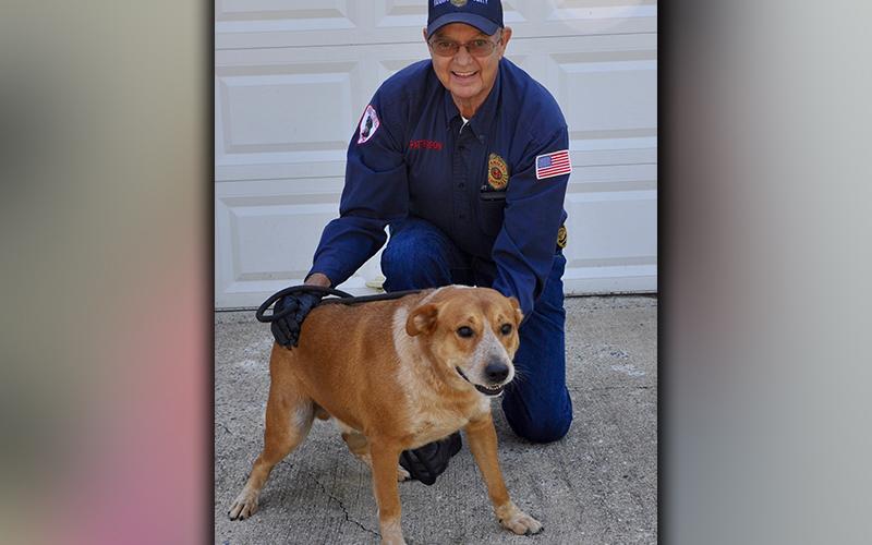This male, Hound mix was found in Epworth September 29. He has a red coat with white patches. This boy is very sweet. View him using intake number 724-20. He is shown with Animal Control officer Pat Patterson.