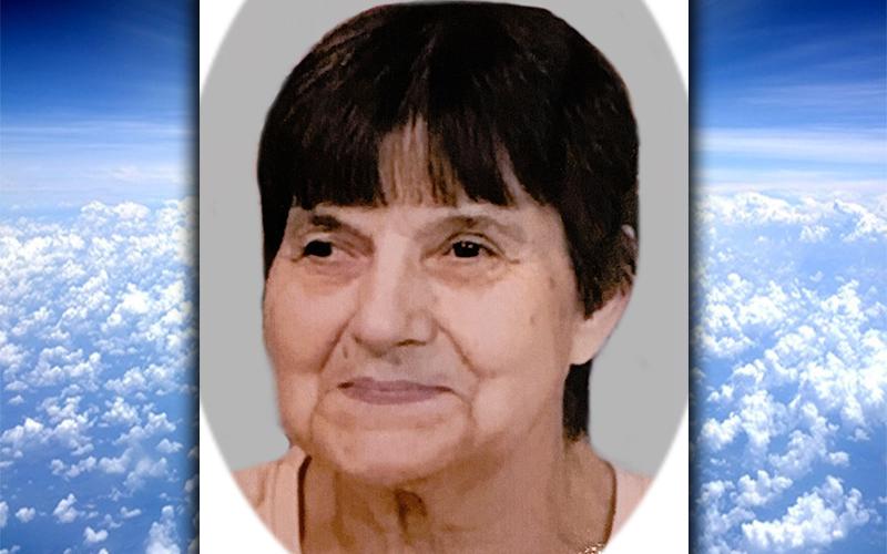 Judy Panter