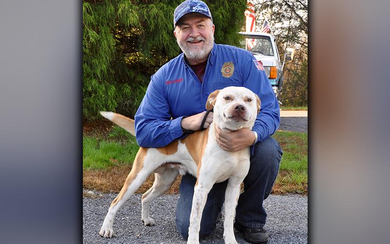 This male, Bulldog mix was picked up in Morganton October 16. He has a short, white coat with orange spots. He is very well behaved. View him using intake number 295-20. He is shown with Animal Control Manager John Drullinger.