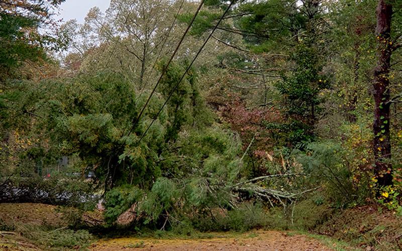 Tropical Storm Zeta brought heavy damage to Fannin County and surrounding areas, making travel difficult. This is a scene taken on Goss Road in Epworth Thursday, October 29.