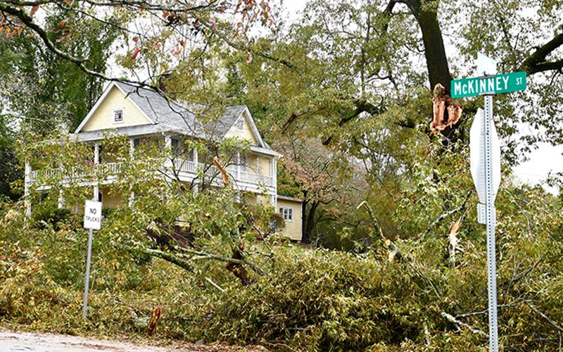 Fannin County residents saw downed trees and limbs, similar to the one seen here at a house on McKinney Street in downtown Blue Ridge, in various locations around the county following high winds due to Tropical Storm Zeta Thursday, October 29.