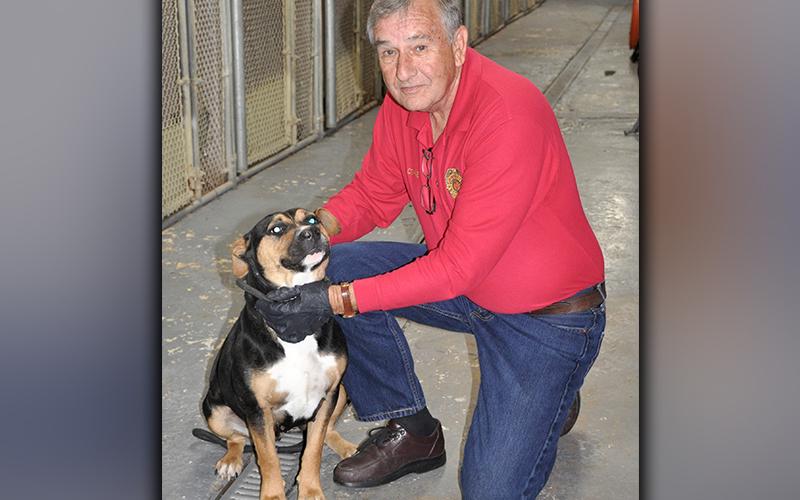 This female mix was picked up on Millsaps Circle in Epworth December 7. She has a black, brown and white coat. View this sweetheart by using intake number 353-20. She is shown with Animal Control Officer J.R. Cornett.