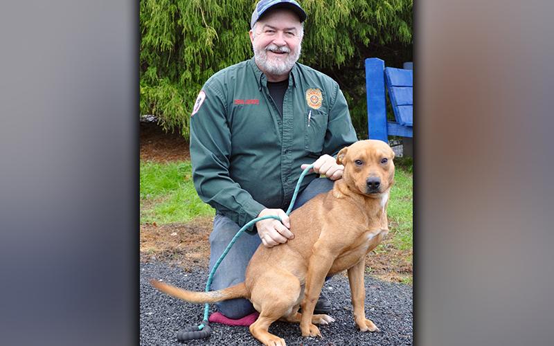 This male mix was picked up on Millsaps Circle in Epworth December 7. He has a short, red coat and is a sweetie. View him using intake number 353-20. This boy is ready for his forever home. He is shown with Animal Control Manager John Drullinger.