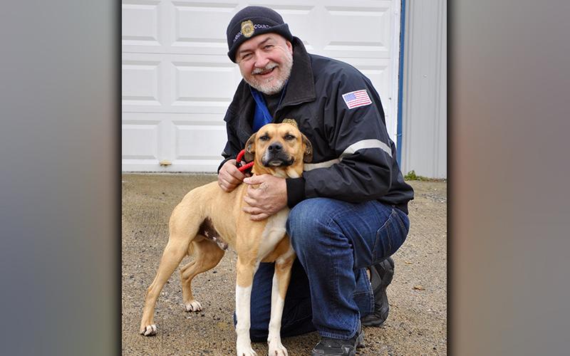 This male mix was picked up on Wilscot Lane in Blue Ridge February 3. He has a short, blonde and white coat, and he is a total sweetie. View him using intake number 028-21. He is shown with Animal Control Manager John Drullinger.