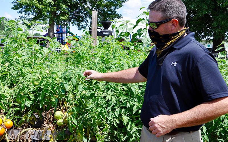 Copper Basin Elementary School Teacher of the Year Gerome Smith checks on the Garden Club’s tomatoes after school this past fall.