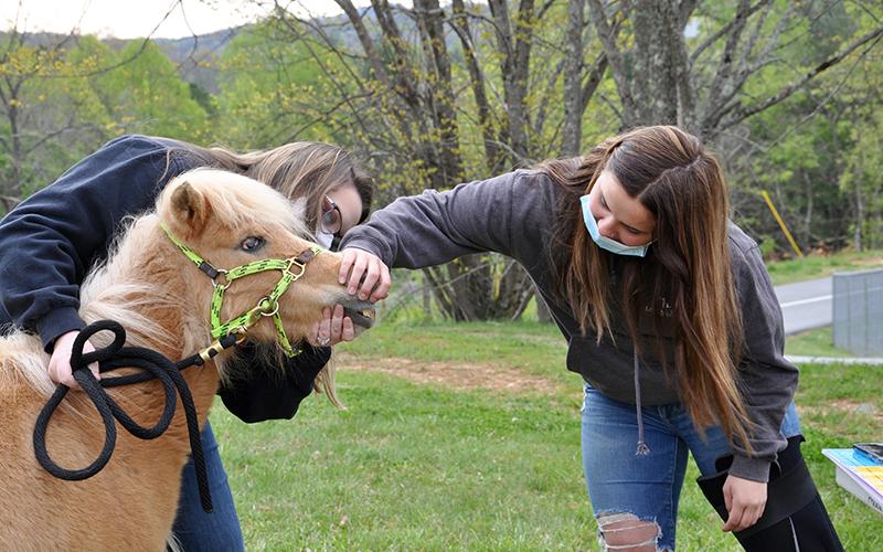 Fannin County High School FFA member Zoe Putnam shows off this pony’s teeth to East Fannin Elementary School students during Ag Day Friday, April 16. High School Ag teacher Emily Fellenbaum is behind.