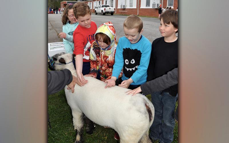 East Fannin Elementary School students Autumn Karry, Sam Hinton, Cooper Highley, Cullen Kimsey and Blayden Land, from left, pet a sheep during the Fannin County High School FFA Chapter’s Ag Day.