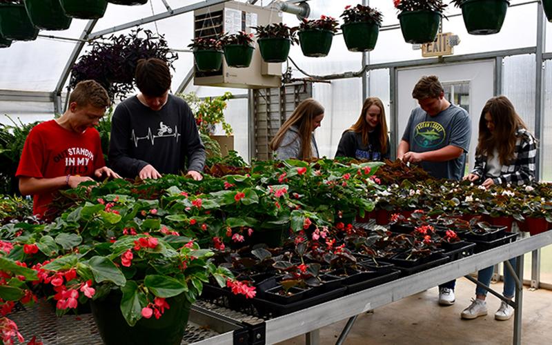 Fannin County Middle School Agriculture students will have the opportunity to sell the plants they’ve worked so hard to grow over the last year. Shown in the greenhouse are, from left, Steven Dickey, Rodney Hyde, Caroline Young, Abigail McFarland, Hunter Dickey and Jaclyn Cracknell.