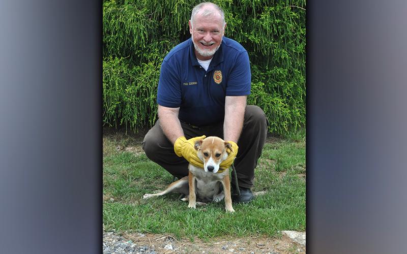This female, a Beagle mix was found on Mountain View Lane, in McCaysville, May 27. He has a thick, white and gold-ish coat, and loves to be walked and given attention. View her using intake number 168-21. She is shown with Animal Control officer Paul Cochran.