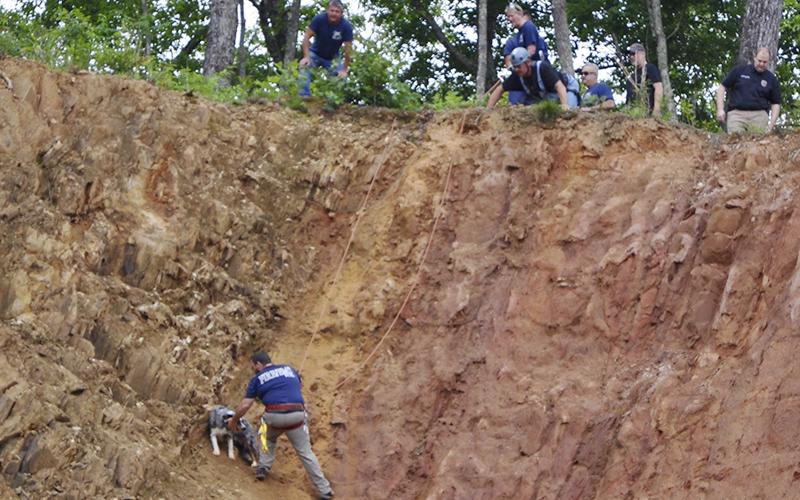 Sitting on a straight-up incline about 60 feet from the ground, Fannin County Emergency Management Agency (EMA) Firefighter Corey Shaw rappelled down to rescue a dog named Finn who had been stuck possibly overnight. Aid from EMA, Animal Control, the Sheriff’s Department as well as Evolutionary K9 rescue were on scene during the Wednesday, June 2, rescue.