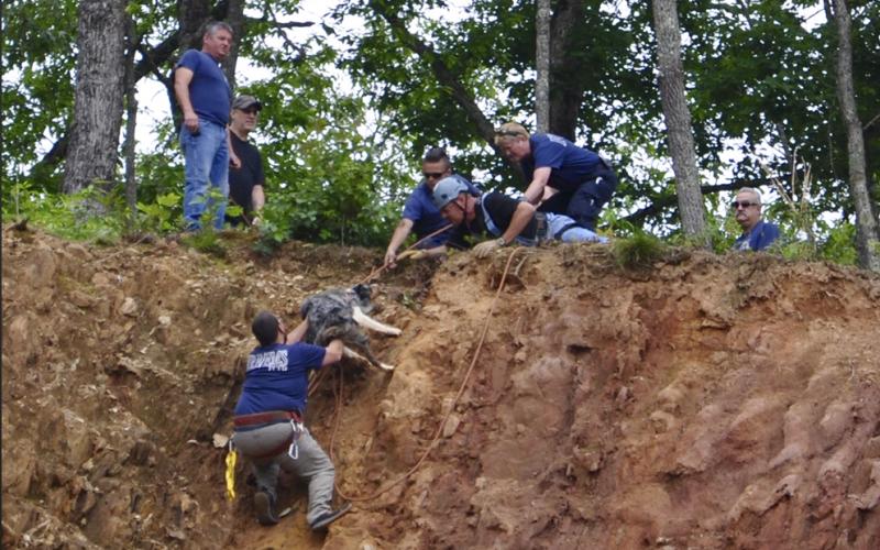 Fannin County Emergency Management Agency (EMA) Firefighter Corey Shaw pushes Finn to safety while EMA Communications Officer John Reel, Firefighter Channing Johnstone, Firefighter/First Responder Virginia Jones, Firefighter Brad Beavers, EMA Deputy Director Patrick Cooke and an individual with Evolutionary K9 help from above.