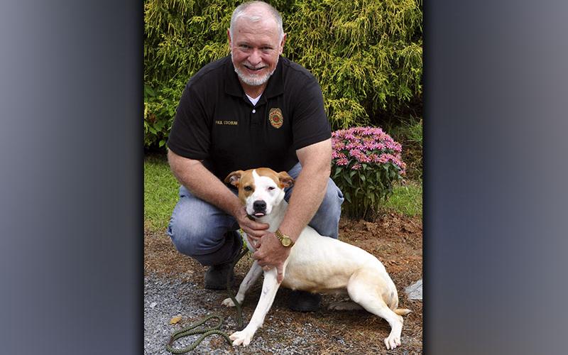 This female mix was surrendered May 15. This gal is smaller in size and has a white coat with orange on her head. She is very sweet. View this pretty girl using intake number 161-21. She is shown with Animal Control Officer Paul Cochran.