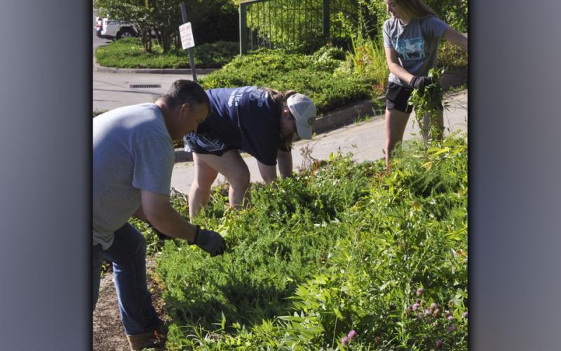 Fannin County Board of Commissioners Chairman Jamie Hensley, from left, Fannin County High School Agriculture teacher Emily Fellenbaum, and FFA member Kaleighann Ware work together pulling up overgrown ivy and weeds outside the Fannin County Detention Center Wednesday, June 30.